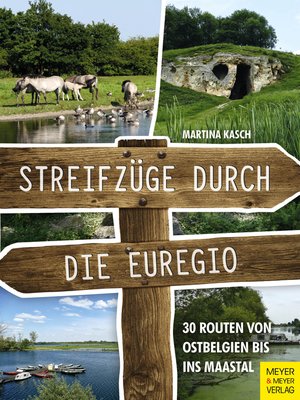 cover image of Streifzüge durch die Euregio